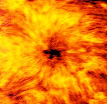ALMA_observes_a_giant_sunspot_(1.25_millimetres)